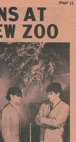 Zoo 02