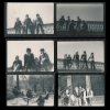Ravens Photos